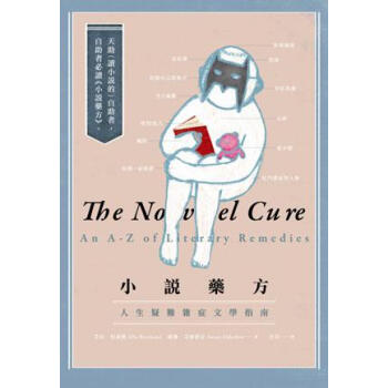 [現貨]颱版 小說藥方：人生疑難雜癥文學指南 pdf epub mobi 電子書 下載