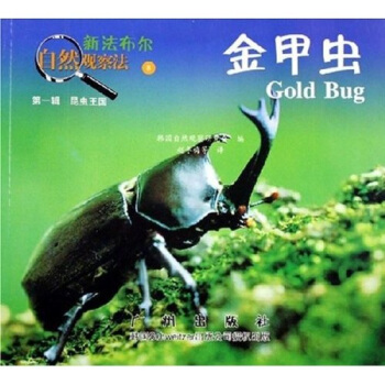 新法布爾自然觀察法：金甲蟲8（第1輯）（昆蟲王國） [7-10歲] pdf epub mobi 下载