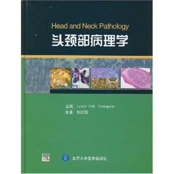 头颈部病理学 pdf epub mobi 下载