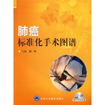 肺癌標準化手術圖譜（附DVD光盤1張） pdf epub mobi 下载