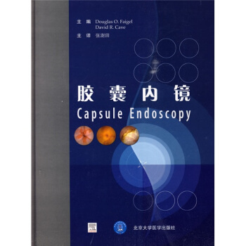 胶囊内镜 [Capsule Endoscopy] pdf epub mobi 下载
