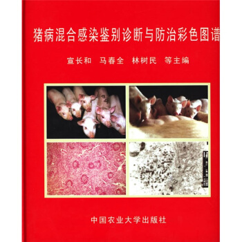 猪病混合感染鉴别诊断与防治彩色图谱 pdf epub mobi 下载