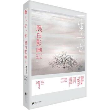 一生一世,黑白影畫 pdf epub mobi 下载