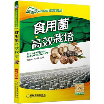 食用菌高效栽培 食用菌實用栽培技術大全書籍 平菇香菇金針菇蘑菇雞腿菇杏鮑菇種植技術 pdf epub mobi 下载