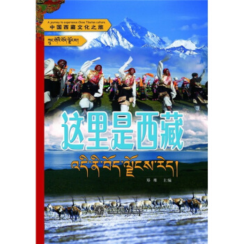 中国西藏文化之旅：这里是西藏 pdf epub mobi 电子书 下载
