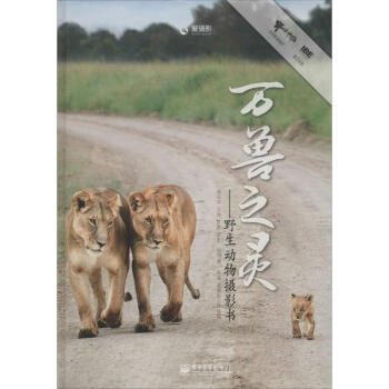 万兽之灵 pdf epub mobi 下载