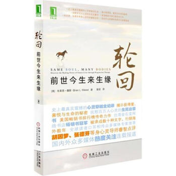 輪迴：前世今生來生緣 pdf epub mobi 電子書 下載