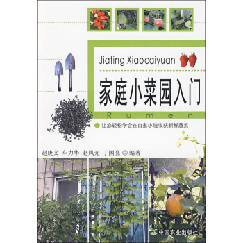 家庭小菜园入门
