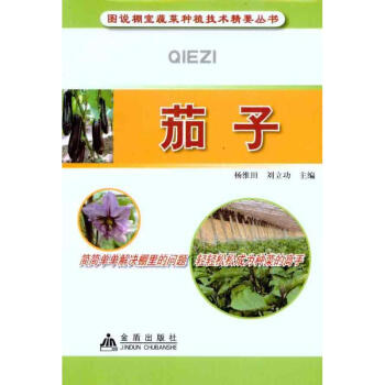 茄子 pdf epub mobi 下载