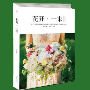 花視覺：花開·一束園藝書籍園林設計花藝入門基礎學的書專業藝術紮花插花教程書籍陽颱種植 pdf epub mobi 下载
