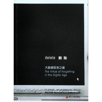 删除(大数据取舍之道) pdf epub mobi 下载