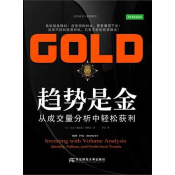 趋势是金:从成交量分析中轻松获利 pdf epub mobi 下载