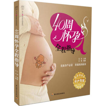 40周怀孕全程指导 pdf epub mobi 电子书 下载
