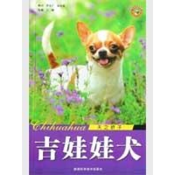 吉娃娃犬-天之娇子