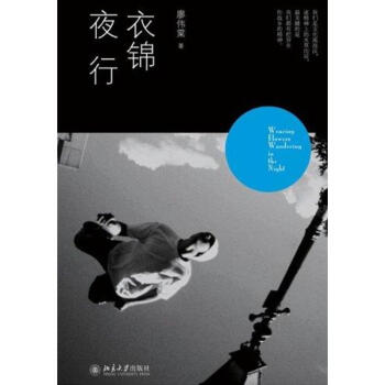 衣錦夜行 pdf epub mobi 下载