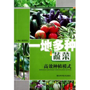 一地多种蔬菜高效种植模式 pdf epub mobi 下载