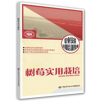 樹莓實用栽培：短期培訓 pdf epub mobi 下载