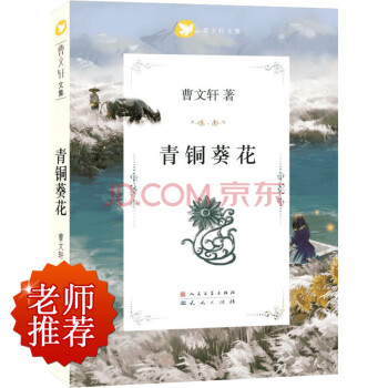 青铜葵花 pdf epub mobi 下载