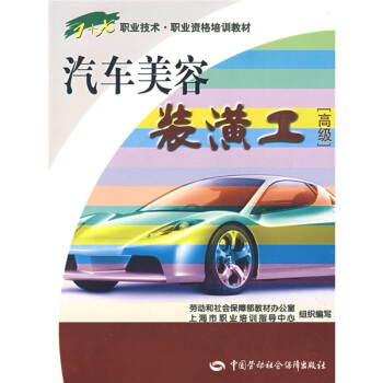 汽車美容裝潢工（高級） pdf epub mobi 下载