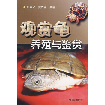 觀賞龜養殖與鑒賞