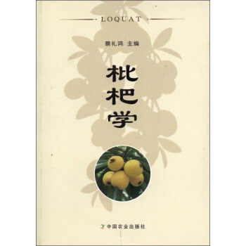 枇杷学 pdf epub mobi 下载