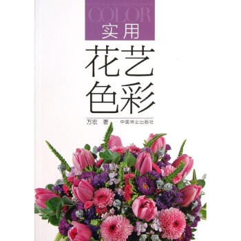实用花艺色彩 pdf epub mobi 下载