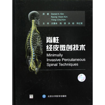 脊柱经皮微创技术 pdf epub mobi 下载