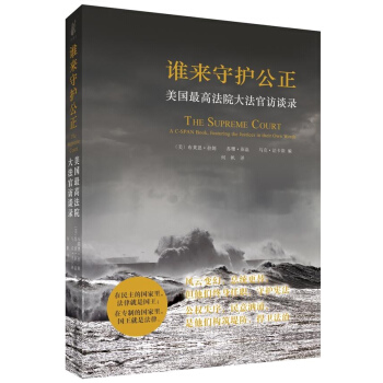 谁来守护公正 pdf epub mobi 下载