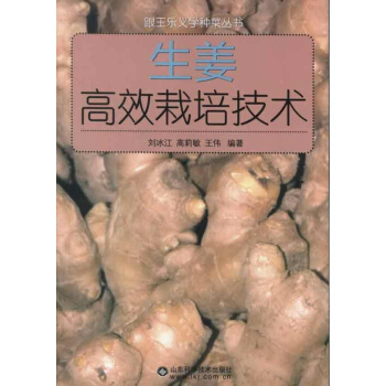 生姜高效栽培技术