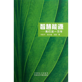 智慧能源 pdf epub mobi 下载