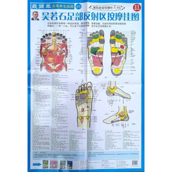 吴若石足部反射区按摩挂图 pdf epub mobi 下载