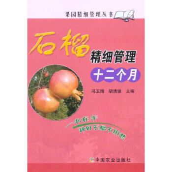 石榴精细管理十二个月 pdf epub mobi 电子书 下载