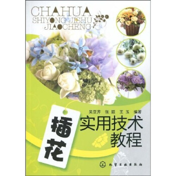 插花实用技术教程 pdf epub mobi 下载