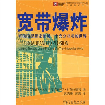 宽带爆炸：听前沿思想家预见一个充分互动的世界 pdf epub mobi 下载