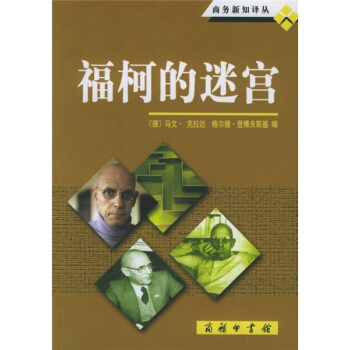 福柯的迷宮 pdf epub mobi 下载