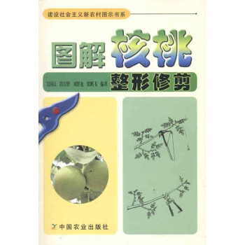 图解核桃整形修剪