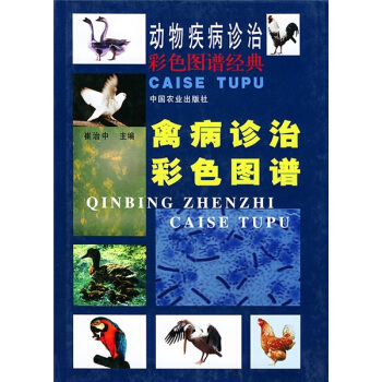 禽病診治彩色圖譜 pdf epub mobi 下载