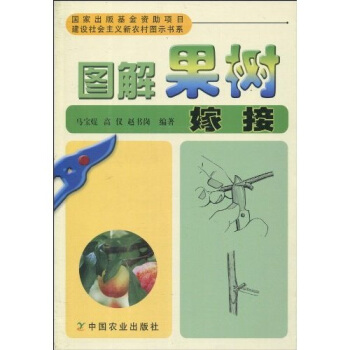 图解果树嫁接（建设社会主义新农村图示书系） pdf epub mobi 下载
