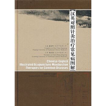 汉英对照针灸治疗常见病图解 pdf epub mobi 下载