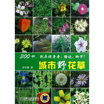 城市野花草