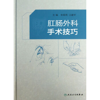 肛肠外科手术技巧(精) pdf epub mobi 下载