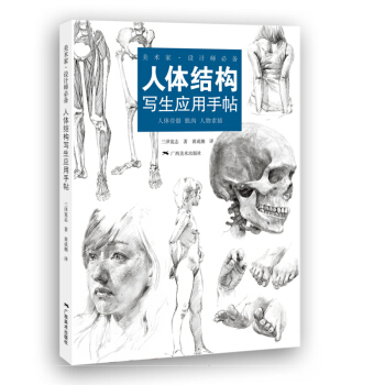 人体结构写生应用手帖 pdf epub mobi 下载