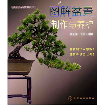 家庭园艺DIY系列--图解盆景制作与养护 pdf epub mobi 下载