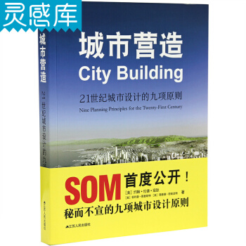 城市营造 21世纪城市设计的九项原则 城市规划设计书籍 pdf epub mobi 下载
