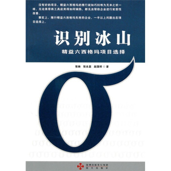 识别冰山：精益六西格玛项目选择 pdf epub mobi 下载