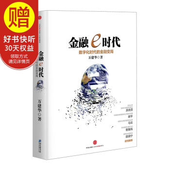 金融e时代 中信出版社 pdf epub mobi 下载