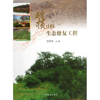 破损山体生态修复工程 pdf epub mobi 下载
