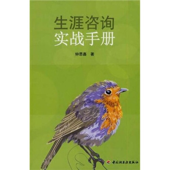 生涯咨询实战手册 pdf epub mobi 下载