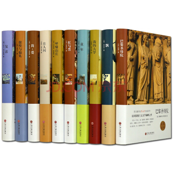 现货世界十大名著全10册 巴黎圣母院飘我的大学童年红与黑呼啸山庄在人间世界名著中文版带插图 pdf epub mobi 电子书 下载