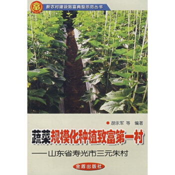 蔬菜规模化种植致富第一村山东省寿光市三元朱村 pdf epub mobi 下载